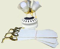 Photo of the ceiling fan motor housing, 3 light fixtures with frosted glass shades, and 4 white wooden blades with gold mounts laid out separately.