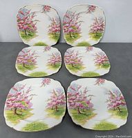 Top-down view of six Royal Albert Blossom Time dinner plates arranged in two rows on a flat surface, showing typical cherry blossom tree design and gold trim.