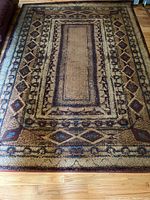 Top-down photo showing the full area rug with its patterned design and colors.