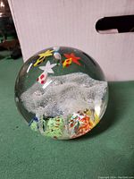 Clear glass hand blown paperweight with colorful fish and bubbles inside, sitting on a green surface with a white cardboard box behind