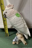 Side view of glossy white porcelain cockatoo figurine with measuring tape showing height approx 7 inches