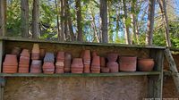 Rows of various sizes of terracotta pots stacked on a wooden shelf outside, showing different shapes and some with weathered surfaces.
