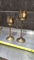 Two brass tulip flower candle holders on a metal surface against a stone wall. One taller, one shorter, showing size reference with measuring tape.