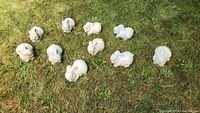 All 12 ceramic bunny figurines displayed outdoors on grass in mixed poses and lighting.