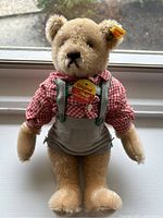 Front view of Steiff Hans teddy bear sitting on window ledge, showing outfit and tags clearly