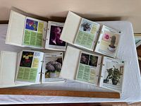 Four white binders opened to show printed, laminated pages of house plants with photos and information.