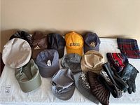 Overview of men's hat and accessory lot including baseball caps, knit hats, flat caps, gloves, and scarves arranged on white surface.