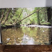 Photo of the canvas art print showing the full image of the forest stream with rocks and green trees.