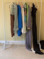 Photo of clothing items hung on rack showing a variety of dresses, tops, and pantsuits in multiple colors and styles including sheer green blouse, brown dress, blue suit.