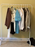 Full view of all 10 Zara items hanging on rack, showing variety of dresses, tops and jackets in neutral to bright colors and different styles.