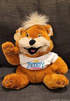 Front view of vintage Zellers Zeddy Bear plush seated against a dark background showing the bear's face, tuft of white hair, white 'Zeddy' t-shirt, and original tag on the ear.