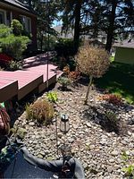 Wide angle view of garden decor items situated on a rock bed near a pond and landscaping. Visible are multiple metal lanterns on shepherd hooks, a decorative metal wheelbarrow, and the ladybug wall decor on a metal stake.