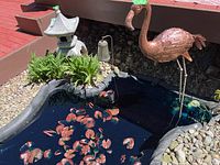Wide shot of small garden pond with metal flamingo sculpture standing on thin legs, showing size and placement with surrounding plants and stones.
