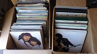 Two cardboard boxes filled with vintage vinyl LP records showing album covers including Bruce Springsteen and other artists