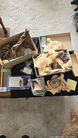 Overall view of the collection showing multiple boxes with dinosaur bones, stones wrapped in paper, and driftwood pieces.