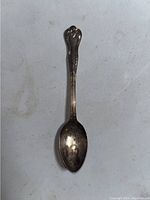 Full clear view of the vintage Sheffield silver spoon showing ornate handle and spoon bowl.