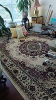 Full view of large oriental style rug showing central medallion design and part of the surrounding room with plants and chairs.