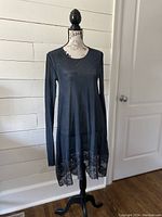 Full view of the sheer black dress on a mannequin showing the overall design, length, and neckline.