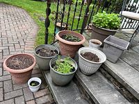 Nine plastic planters in various sizes and styles, containing potting soil and some seedlings, situated outdoors near stone steps and brick walkway.