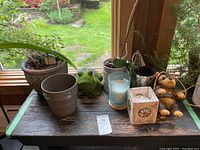 Wide shot showing potted plants including orchid and sage, candles in various holders, decorative frog figurine, and plant pots arranged on a wooden surface near window.