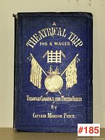 Front cover of the blue hardcover book with gold embossed title and graphics.