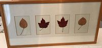 Framed art piece with four pressed leaves each in its own square, displayed horizontally in a natural wood frame.