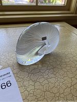 Oblique front view of clear crystal nautilus shell sculpture on countertop