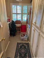 Overview of the room showing storage bins, artificial Christmas trees, and furniture