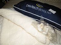 Photo shows a white lamb wool blanket or throw with fluffy texture, partially folded. A plastic bag of small white items (possibly accessory or packaging) rests on the blanket. Navy blue fabric with 'Serta Perfect Sleeper' text is visible in the background.
