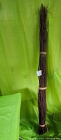 Full view of tied bundle of about 80 long willow stakes against a green backdrop.
