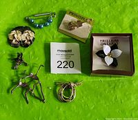 Photo showing all seven brooches on green background including boxed Ontario Trillium brooch and safety pin with teal blue beads