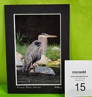 Front view of matted photograph showing Great Blue Heron image, title, and artist signature.