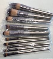 Photo of 10 makeup brushes individually wrapped in plastic, with fine mesh protecting bristles on larger brushes. Brushes have silver handles and brown synthetic bristles.