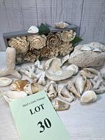Full lot showing wooden flower shadow box in the background with assorted seashells and coral pieces spread in front