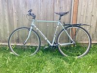 Full side view of Bianchi single-speed bicycle leaning against wooden fence on grass showing frame, wheels, handlebars, rear rack