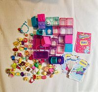Overhead photo shows collection of Shopkins figures, plastic carrying cases, playing cards, instruction booklet and a blue charm bracelet arranged on a white background.