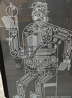 Framed anatomical style art print with labeled parts of the male body in French, showing a detailed illustrative design