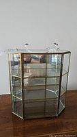Photo showing the entire three level glass and brass framed display case with mirrors on the back inside surfaces.