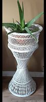 Full view of tall white wicker planter stand with a green aloe plant inside (plant not included in lot).