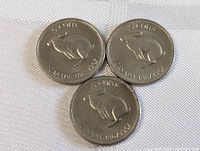 Three 1967 Canadian 5-cent coins showing rabbit design, laid out on white fabric.