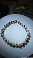 Single stretchy bracelet laid flat on illuminated white surface showing spotted dalmatian jasper beads.