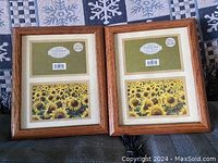 Two identical wooden picture frames with double matte borders and sunflower picture inserts shown side by side on a patterned surface.