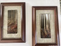 Two framed forest prints hung on a wall, each with a brown wooden frame and beige mat, showing vertical rectangular prints of forest scenes.