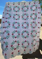 Full view of the antique botanical quilt displayed outdoors showing the overall floral wreath pattern on a white background.