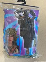 Clear plastic packaging holding Halloween Medusa costume including dress, snake headpiece, and necklace, with product image on front.