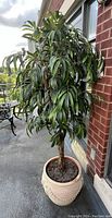 Full view of artificial green leafy tree planted in cream decorative pot positioned outdoors near brick wall