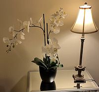 Photo of an artificial white orchid plant in a black pot next to a traditional-style table lamp with a beige fabric shade turned on.