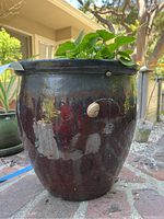 Front-side view of the glazed ceramic plant pot containing a young green plant, placed on brick ground outdoors, showing the glossy dark glaze and natural decoration attached to the pot's side.