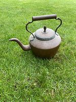 View of overall copper pot with curved spout and handle with grip, placed on grass.