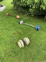 Full view of all three steel bars and weights laid out on grass: short, curved, and long straight bar with various weight plates.